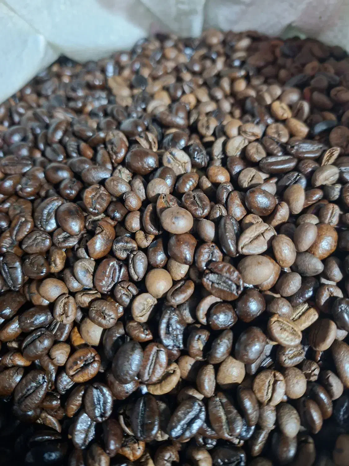 دون قهوه ۷۰*۳۰میکس فول کافئین|عمدهفروشی|قم, مهدیه|دیوار