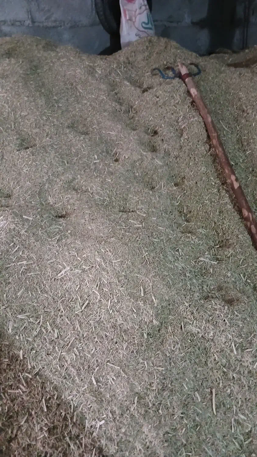 خار|لوازم جانبی حیوانات|رضویه, |دیوار