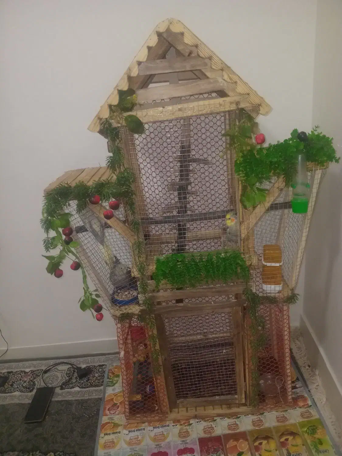 فقس پرنده|لوازم جانبی حیوانات|ملایر, |دیوار