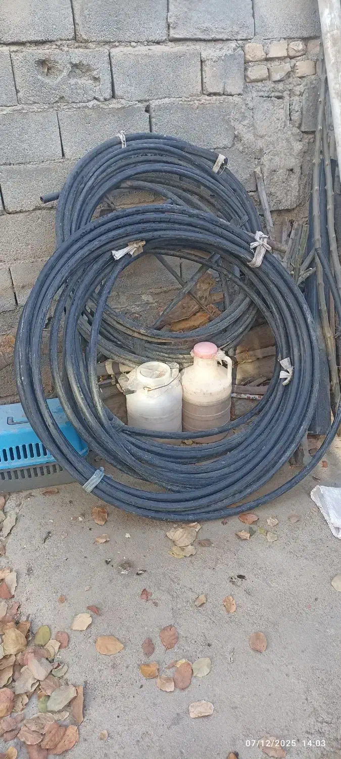 فرغون و ....|حراج|بجنورد, |دیوار