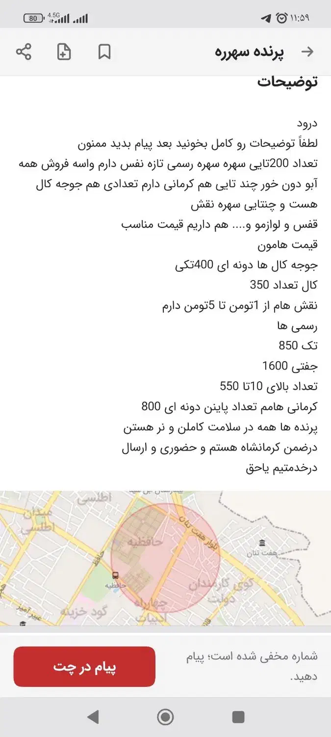 سهرره سقاا|پرنده|شیراز, حافظیه|دیوار