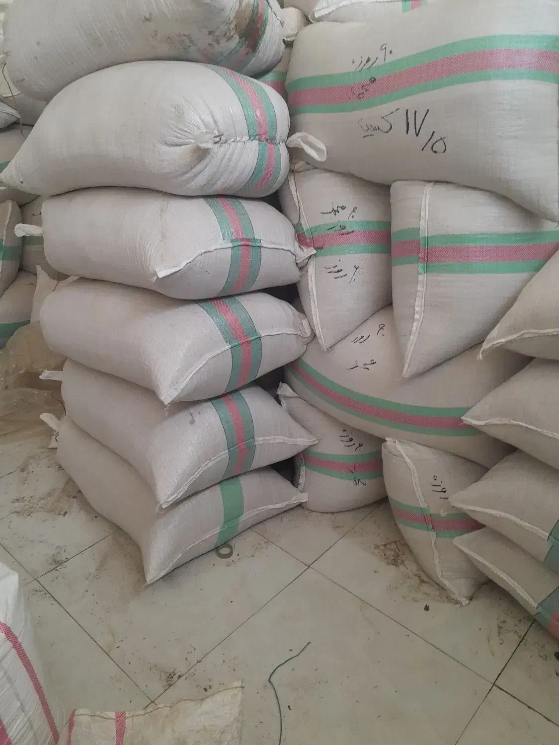 شالی فجر|گل و گیاه طبیعی|رامیان, |دیوار