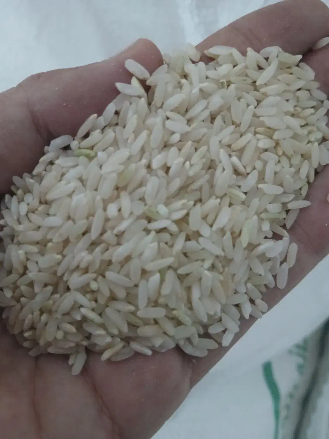 چند تا گونی برنج کرف|خوردنی و آشامیدنی|لردگان, |دیوار