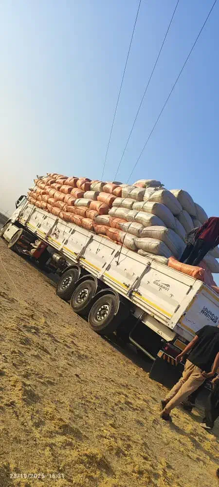 کمباین جاندر|حیوانات مزرعه|تایباد, |دیوار