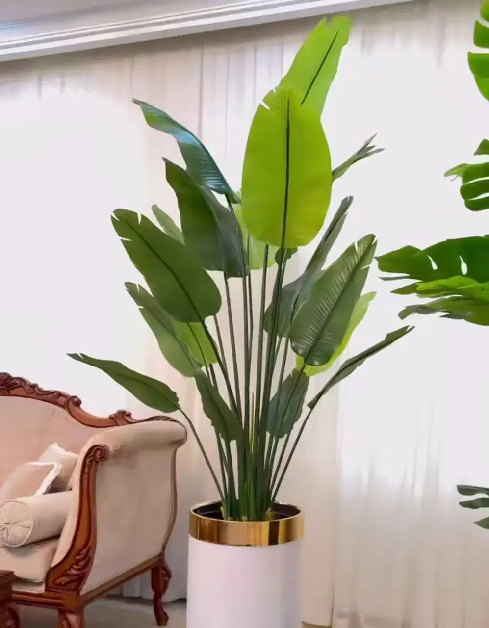 درخچه های مصنوعی وارداتی|گل مصنوعی|فردیس, قریشی|دیوار