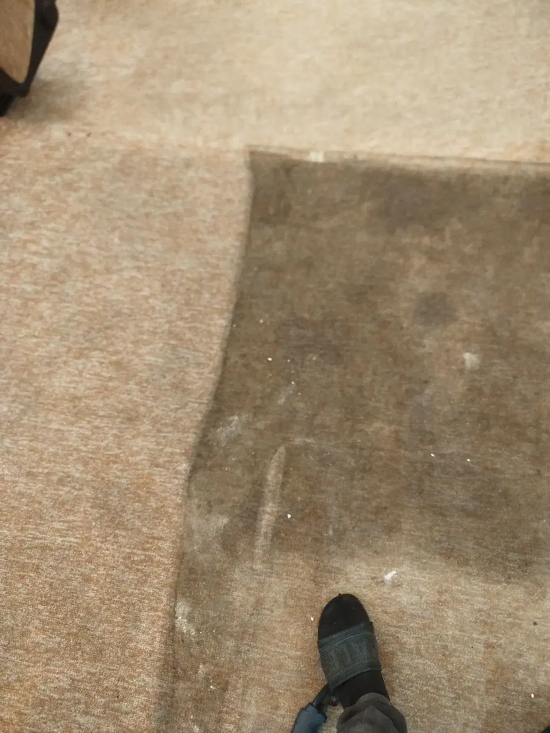 مبلشویی وموکت شویی تخصصی پرنیان|خدمات نظافت|تهران, میرداماد|دیوار