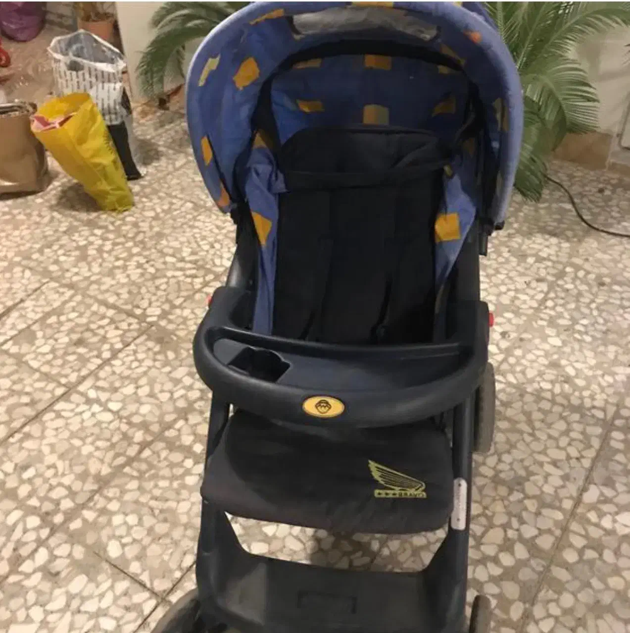 کاسکه|کالسکه و لوازم جانبی|رشت, کاکتوس|دیوار