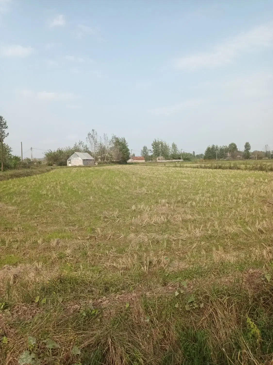 فروش ۲هکتار شالیزار و زمین مسکونی اطراف شهرآستانه|فروش زمین و ملک کلنگی|آستانه اشرفیه, |دیوار