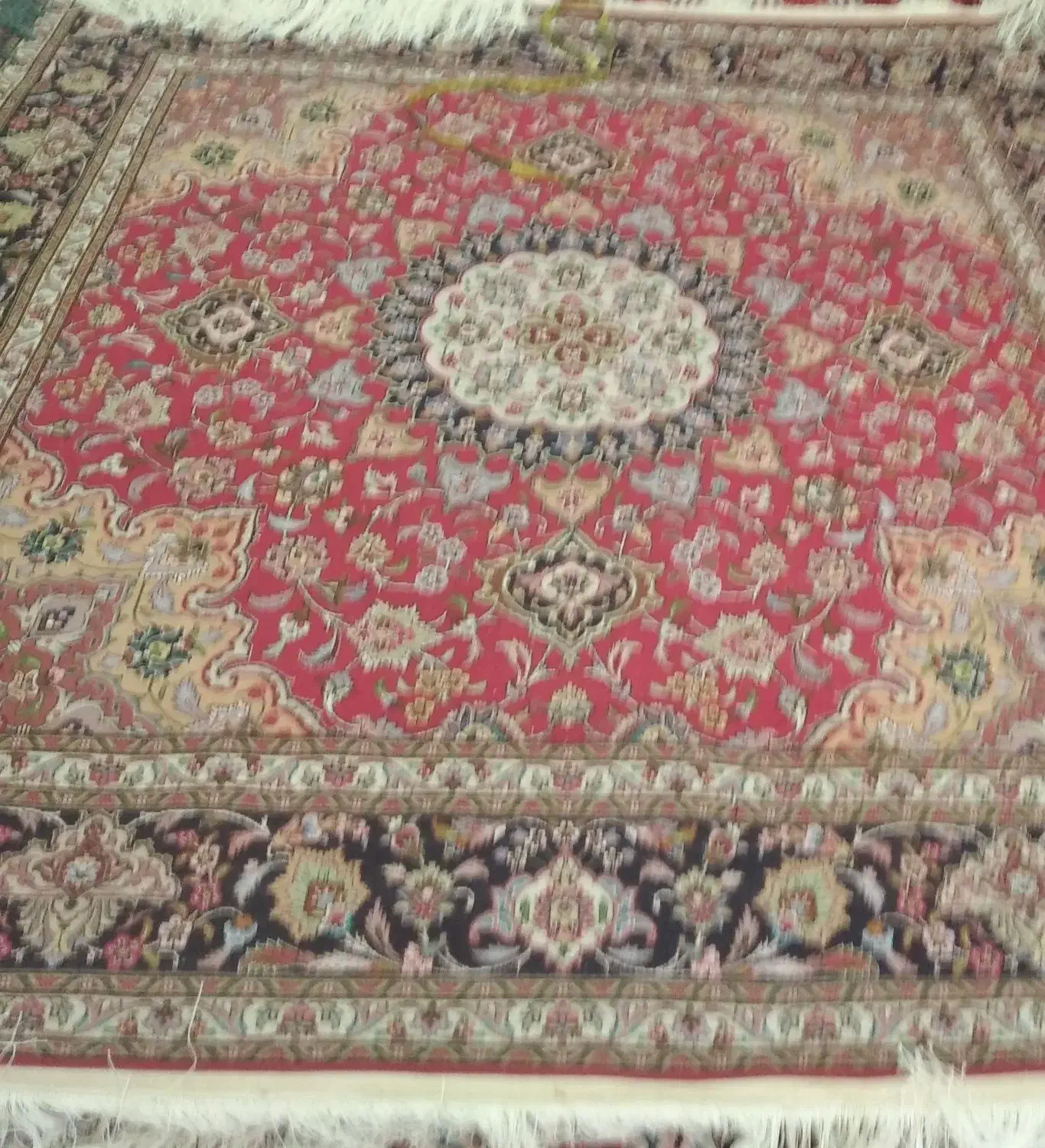 فروش فرش|فرش|تبریز, |دیوار