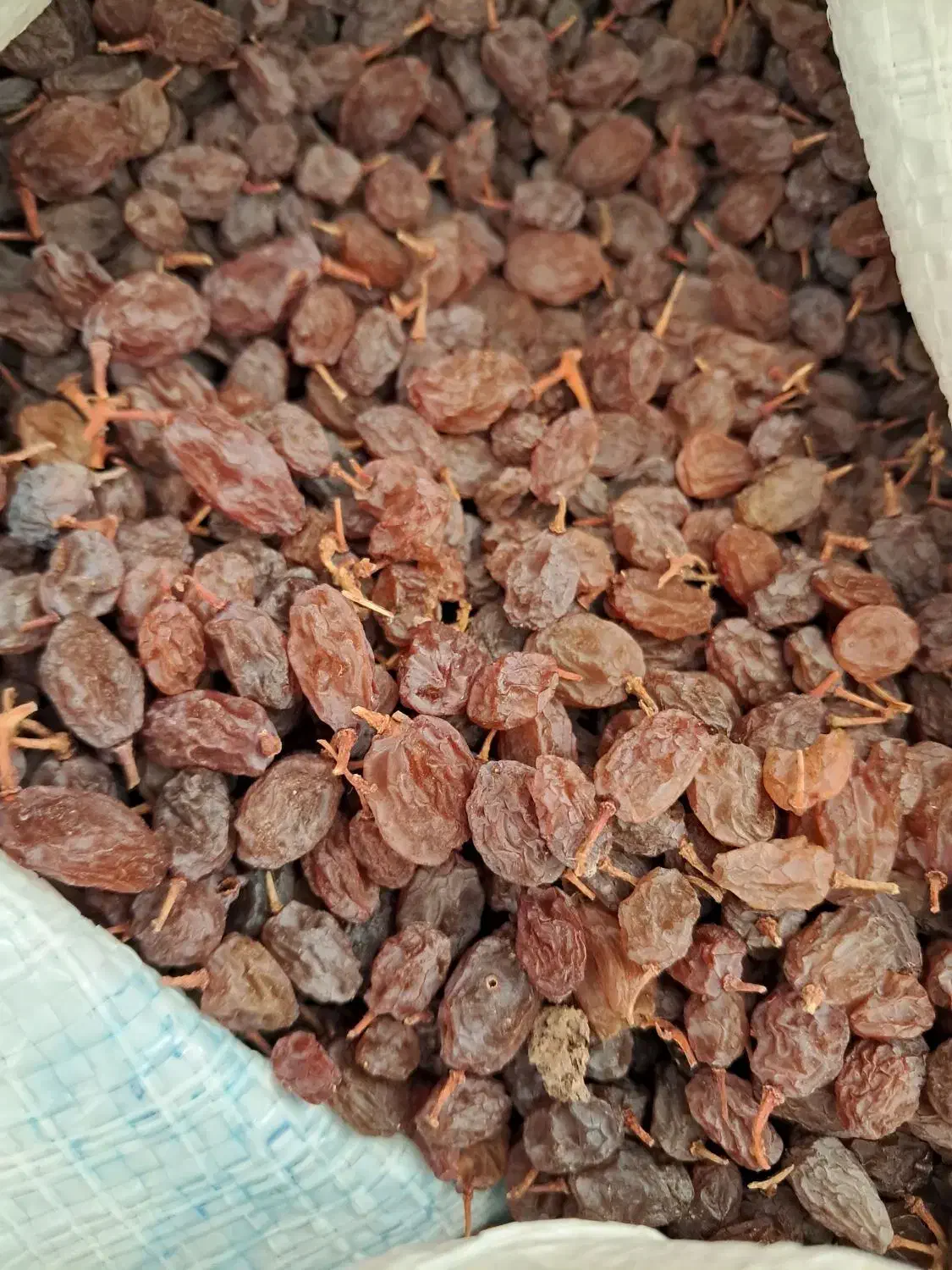 کشمش ومویزوشیره انگور|خوردنی و آشامیدنی|سلطانیه, |دیوار