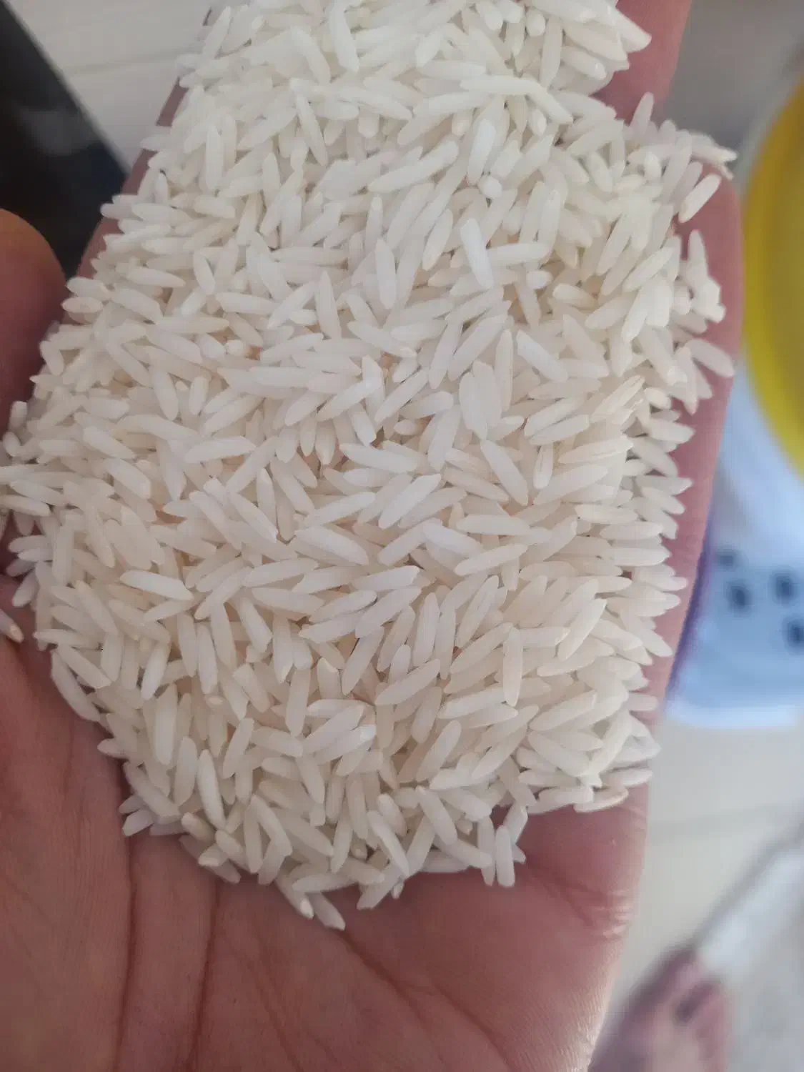 برنج دم سیاه/صدری سورتینگ شده|خوردنی و آشامیدنی|رشت, منظریه|دیوار