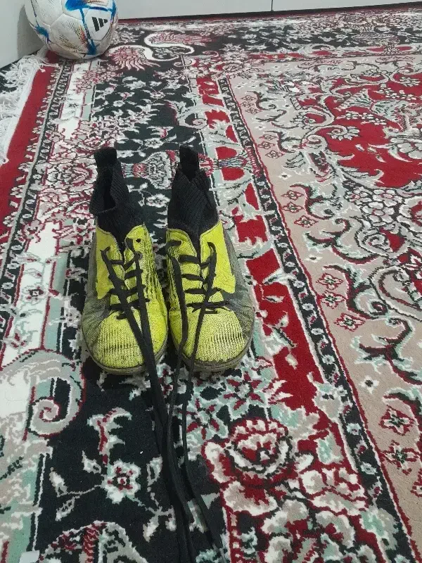 کفش|کیف، کفش، کمربند|طاغنکوه, |دیوار