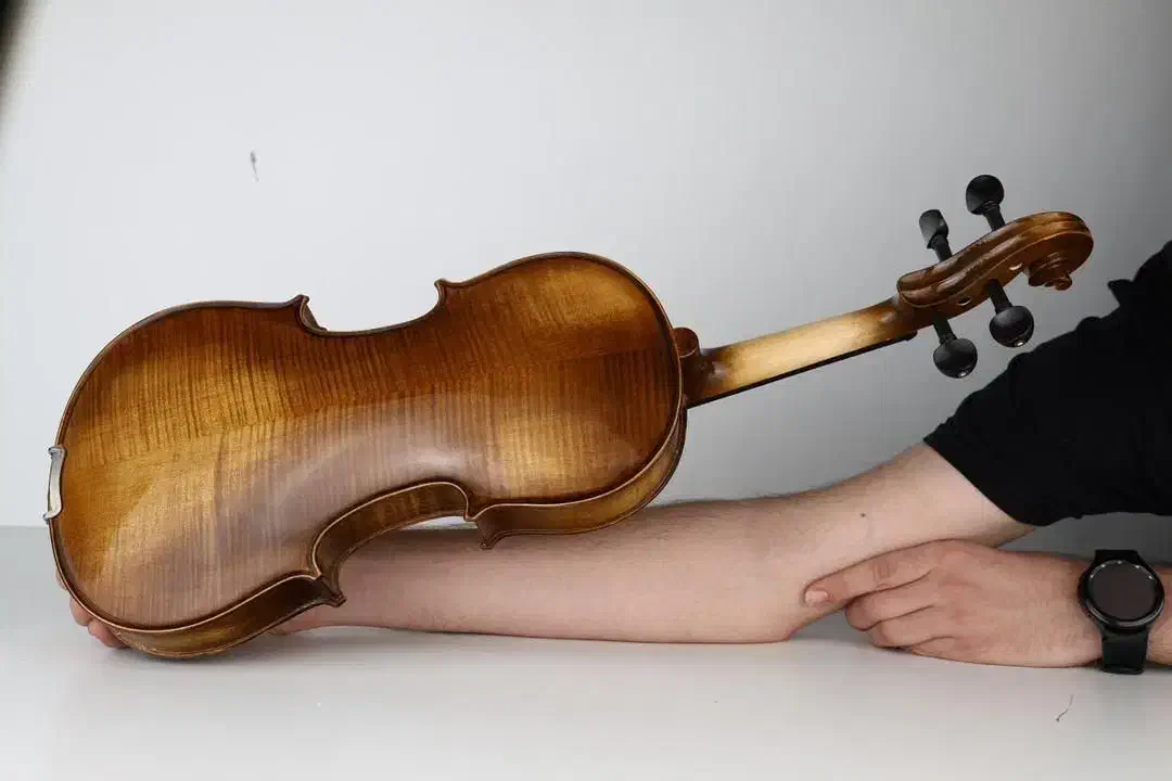 ویولن در گالری موسیقی آریا|ویولن|مشهد, ولیعصر (شهرک غرب)|دیوار