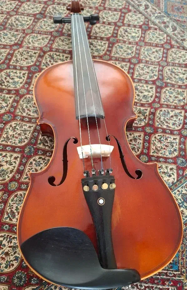 ویالون|ویولن|اراک, |دیوار