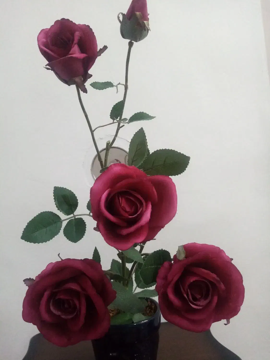 گلدان گل مخمل|گل مصنوعی|کرمانشاه, |دیوار