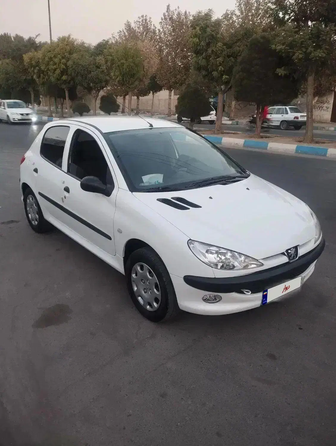 206مدل 1401|خودرو سواری و وانت|تهران, شهرک استقلال|دیوار