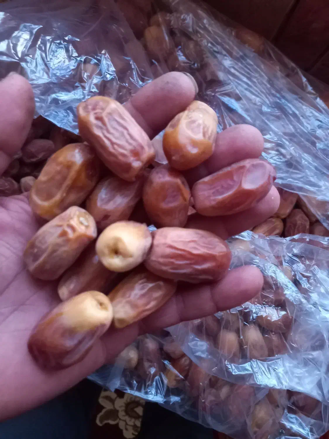 خرمای زاهدی درشت|خوردنی و آشامیدنی|قیروکارزین, |دیوار