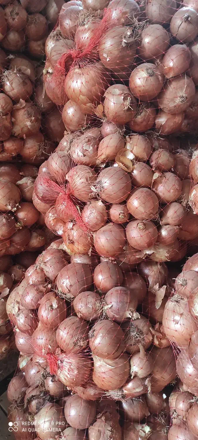 پیاز|عمدهفروشی|تهران, شهرک شریعتی|دیوار