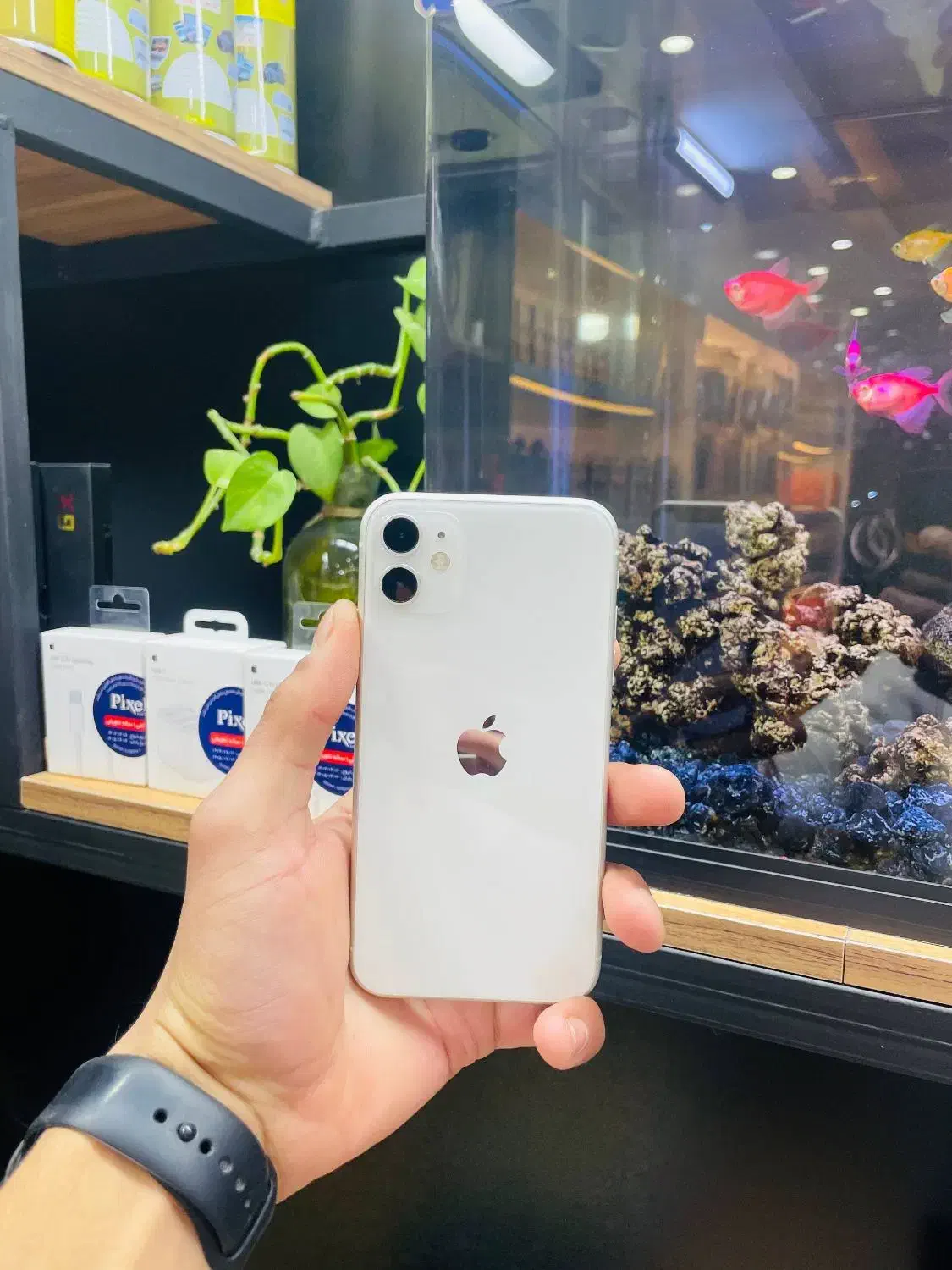 iphone11 خاص برای یک آدم خاص پسند|موبایل|مشهد, کوی ولیعصر|دیوار