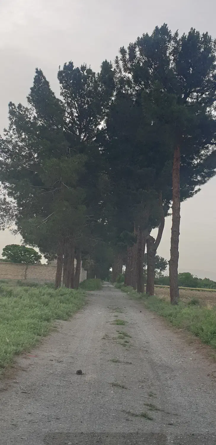 زمین|فروش زمین و ملک کلنگی|کهریزک, |دیوار