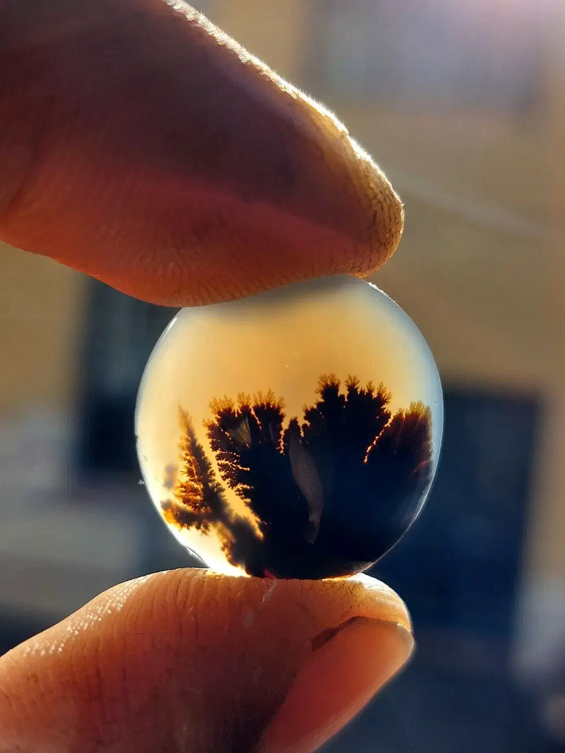 نگین  شجر  عقیق   انگشتر|جواهرات|شیراز, ریاستی|دیوار