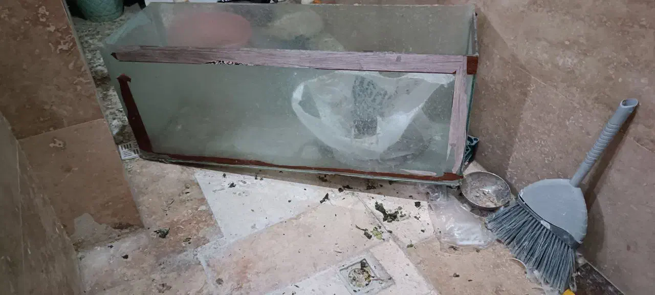 اکواریوم اکواریوم بزرگ اکواریوم ارزان|ماهی|مشهد, امیریه|دیوار