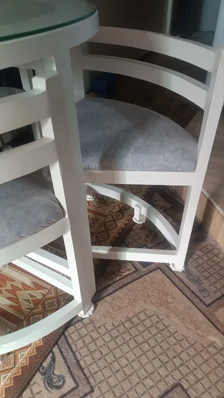 میز و صندلی|میز و صندلی غذاخوری|شیراز, کوشک میدان|دیوار