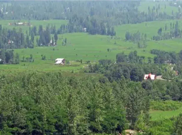 زمین باغی در خرفکل|فروش زمین و ملک کلنگی|احمدسرگوراب, |دیوار