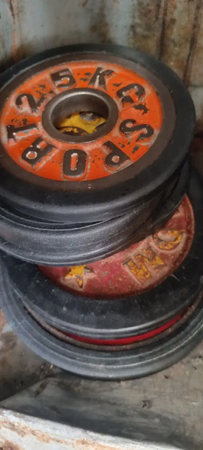 صحفه هالتر|تجهیزات ورزشی|شیراز, فرودگاه شهید دستغیب شیراز|دیوار