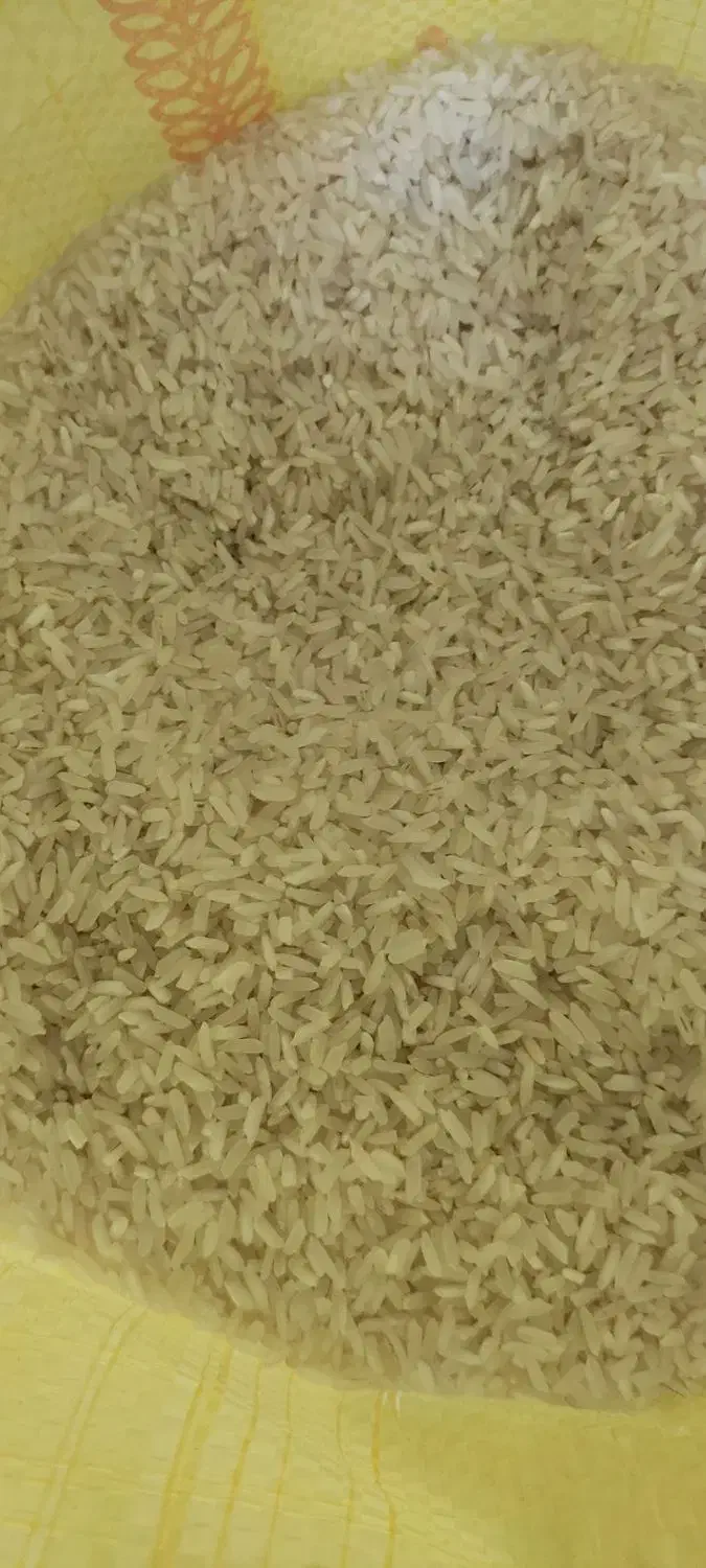 برنج. چمپا|عمدهفروشی|زرند, |دیوار