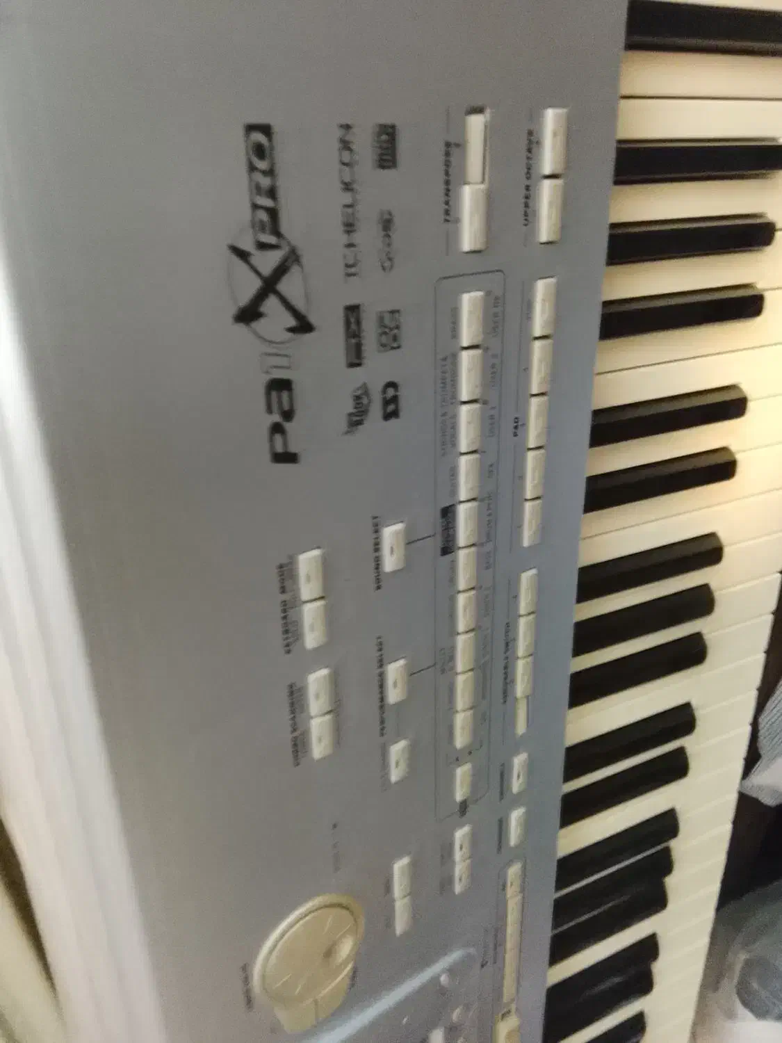 ارگ korg pa1xpro|پیانو، کیبورد، آکاردئون|کیش, |دیوار