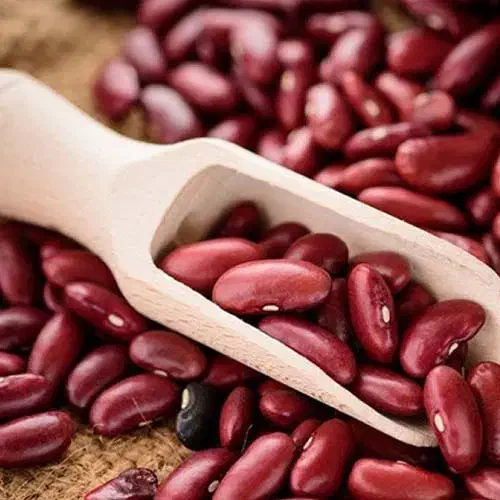 عرضه ی حبوبات  تناژ بالا و پایین نصف قیمت بازار|عمده‌فروشی|تهران, امام زاده عبدالله|دیوار