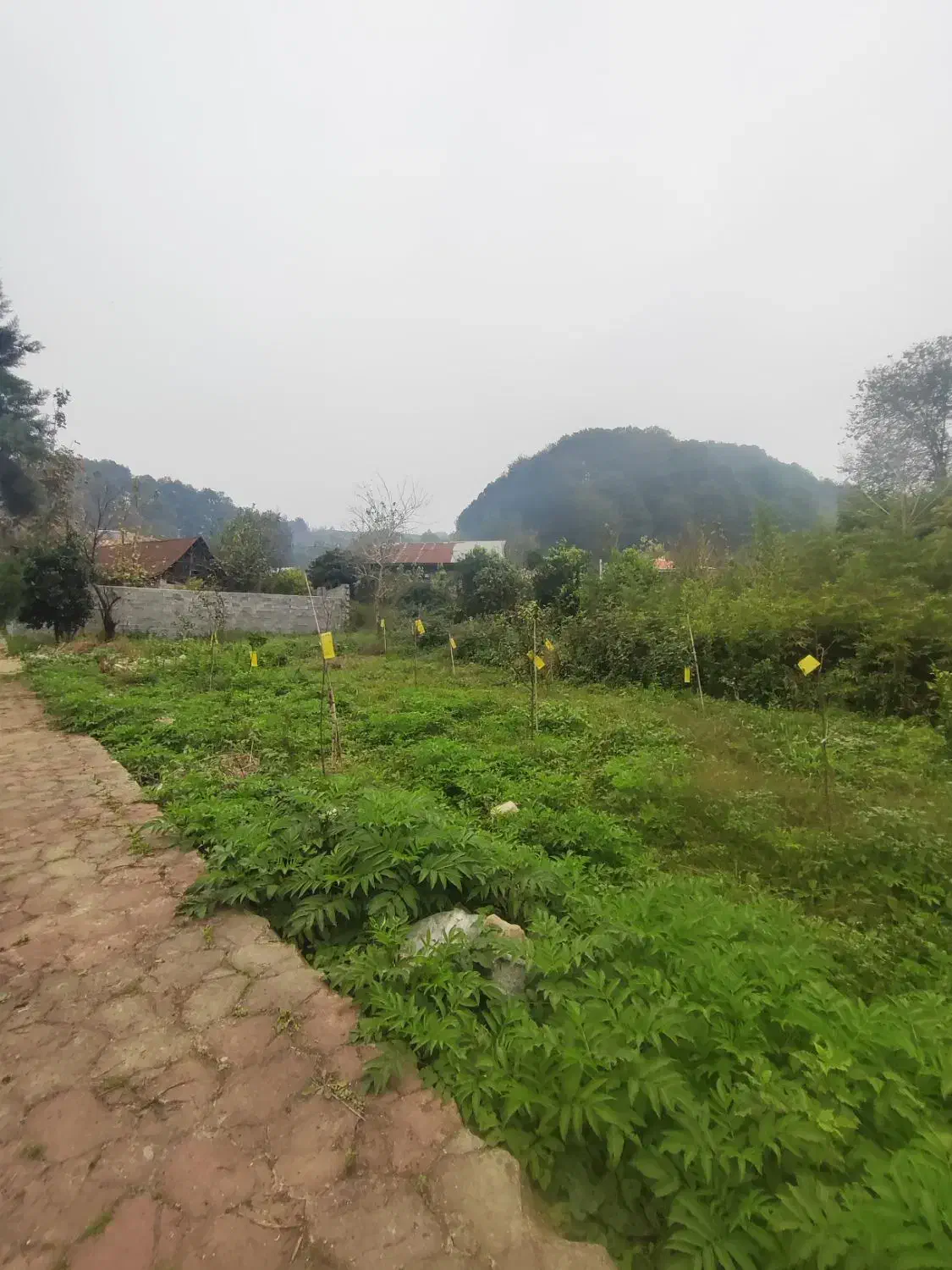 فروش زمین مسکونی سند دار|فروش زمین و ملک کلنگی|لاهیجان, آهندان|دیوار