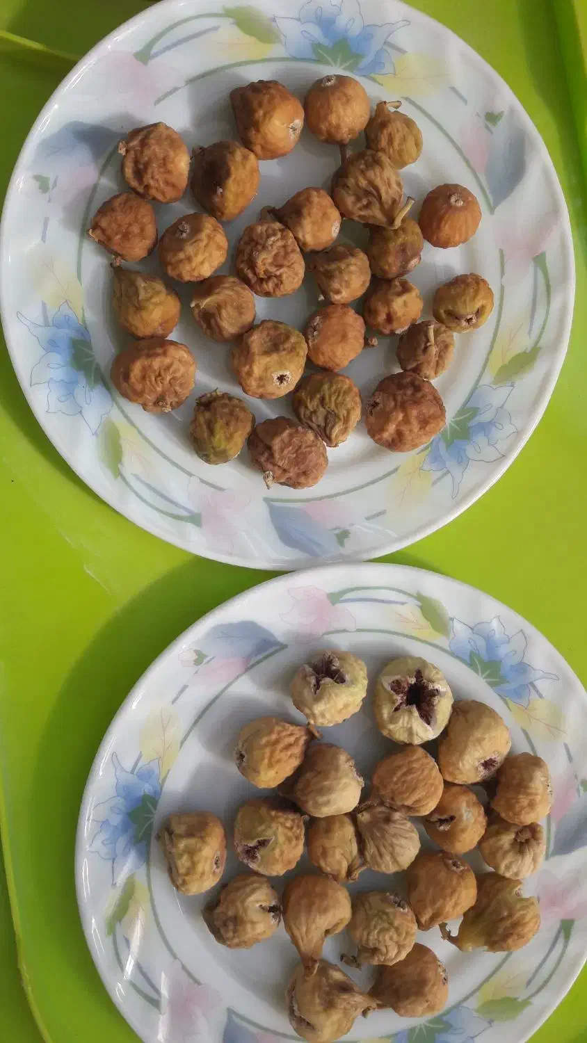 انجیر بش و بادام درجه یک نیمه کاغذی|خوردنی و آشامیدنی|شیراز, شهرک مخابرات|دیوار