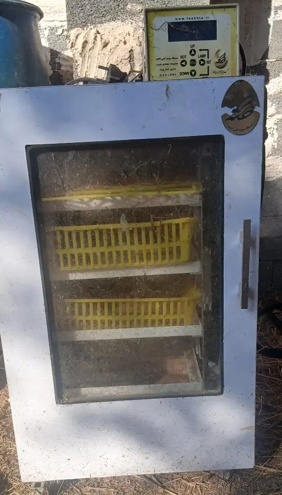 دستگاه جوجه کشی|لوازم جانبی حیوانات|زنجان, |دیوار