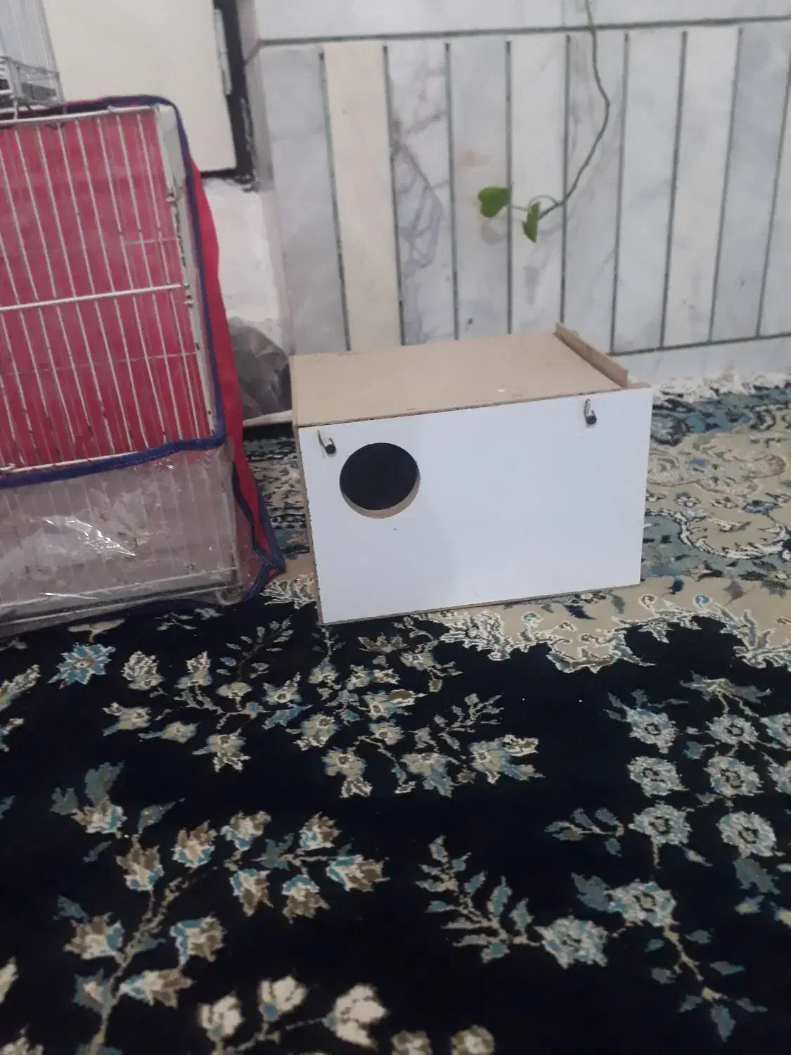 قفس و باکس|لوازم جانبی حیوانات|تربت‌حیدریه, حسنی بالا|دیوار