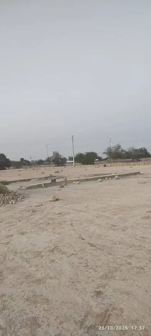 زمین چغادک|فروش زمین و ملک کلنگی|چغادک, |دیوار