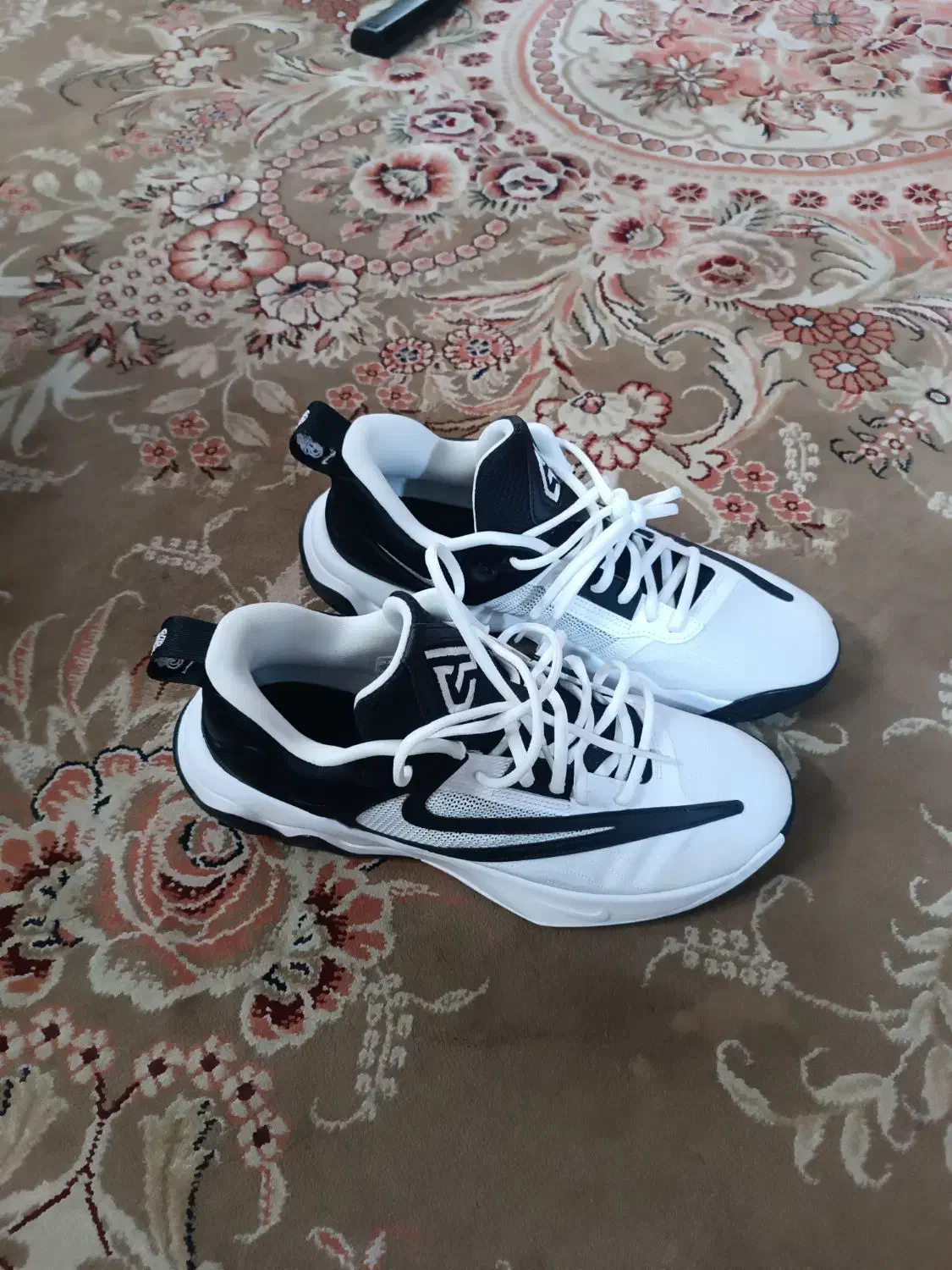 کتونی نو|کیف، کفش، کمربند|ابهر, |دیوار