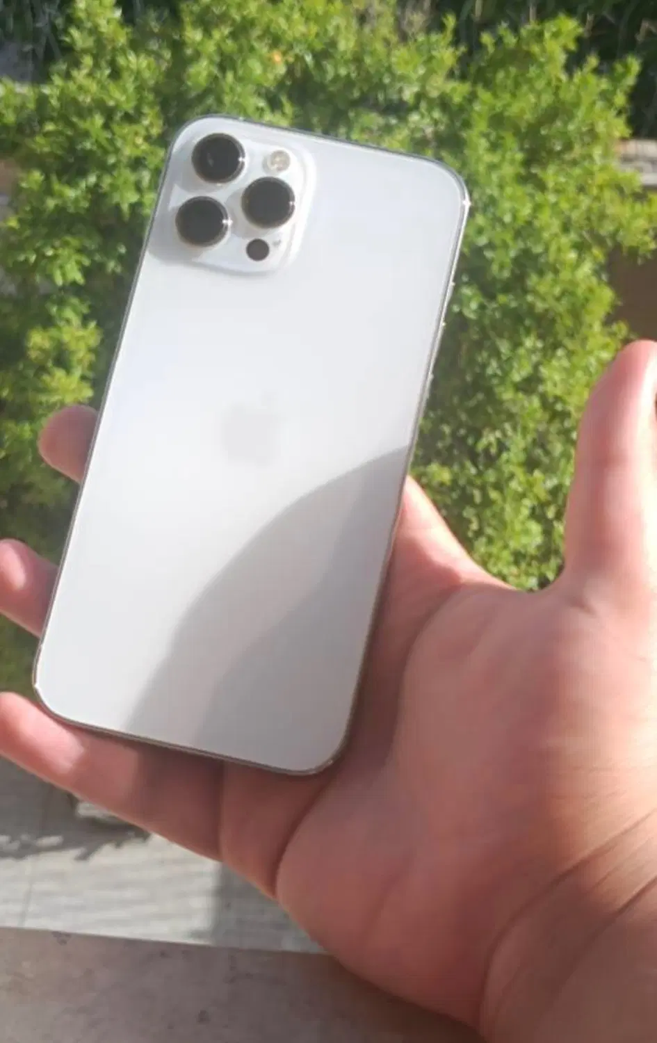 iphone 12pro max|موبایل|شیراز, زرهی|دیوار