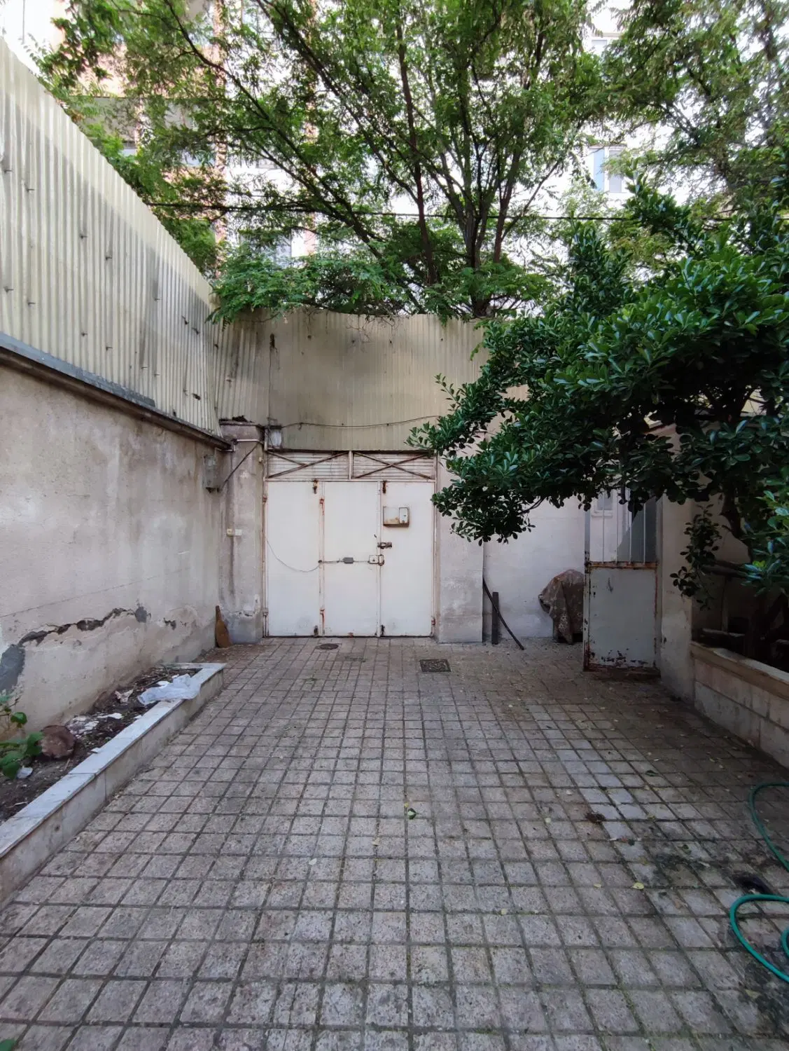 تصویر 3