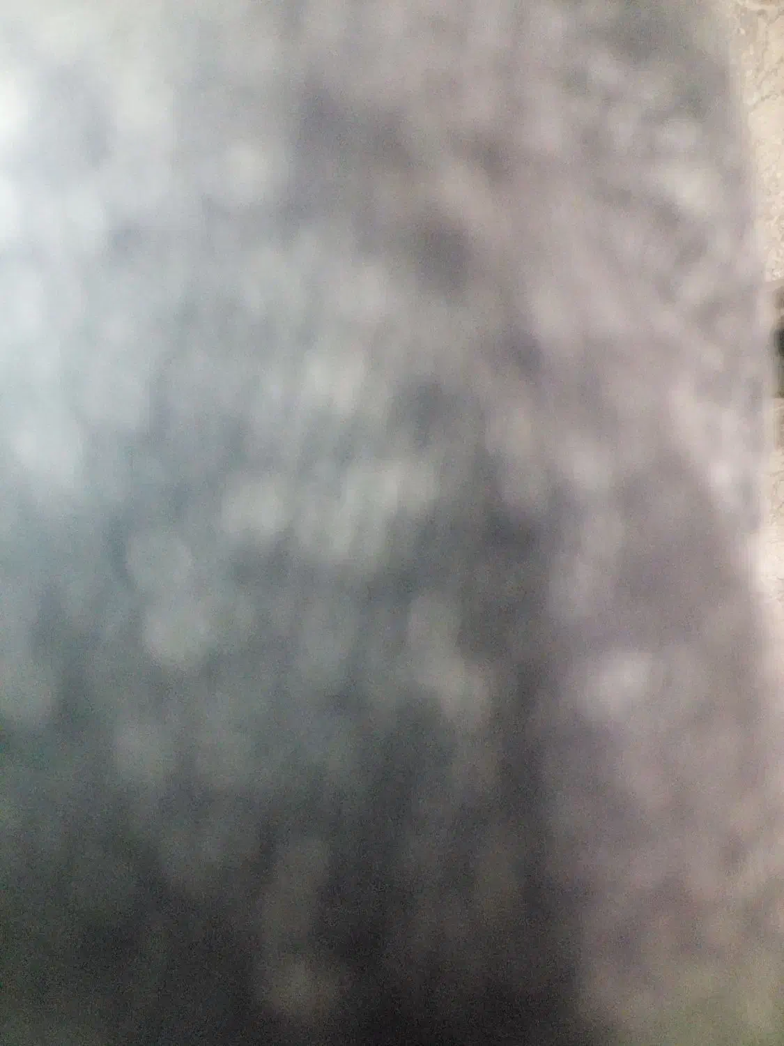 گوشی گم کردم|موبایل|شیراز, معالیآباد|دیوار