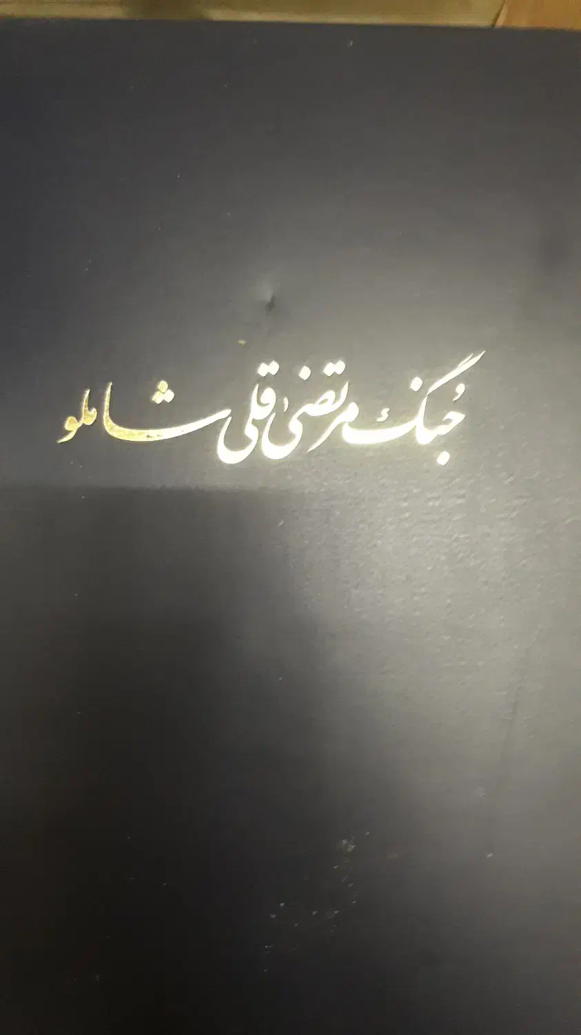 جنگمرتضیقلیشاملو.|کتاب و مجله تاریخی|شیراز, غدیر جنوبی|دیوار