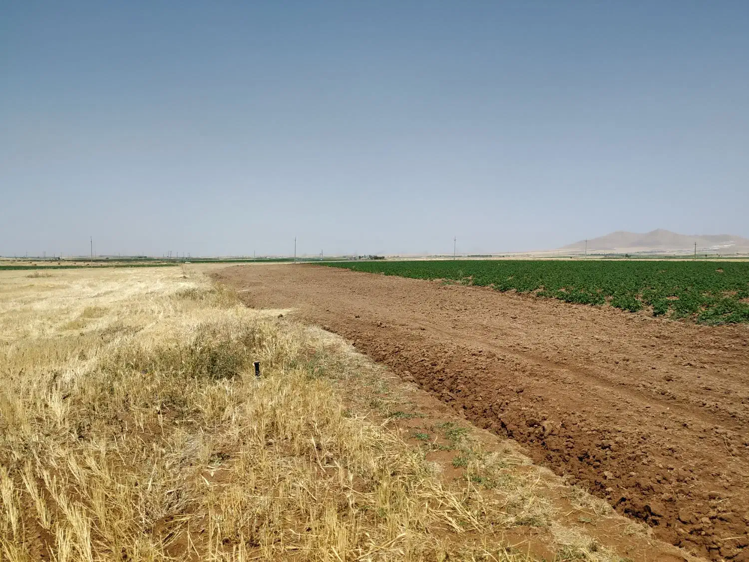 زمین کشاورزی دارای چاه|فروش دفتر صنعتی، کشاورزی، تجاری|قروه, |دیوار