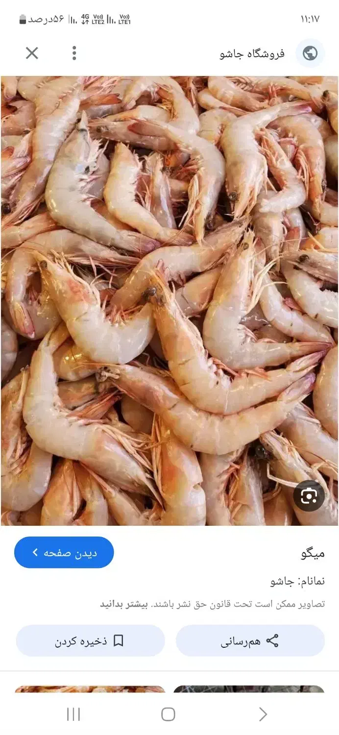 کارگر شرکت میگو|استخدام صنعتی، فنی، مهندسی|برازجان, |دیوار