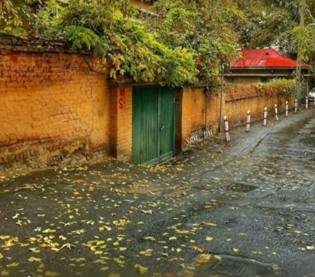 ۱۲۰۰متر کلنگی بر ظفر تک مالک فروشنده واقعی|فروش زمین و ملک کلنگی|تهران, ظفر|دیوار