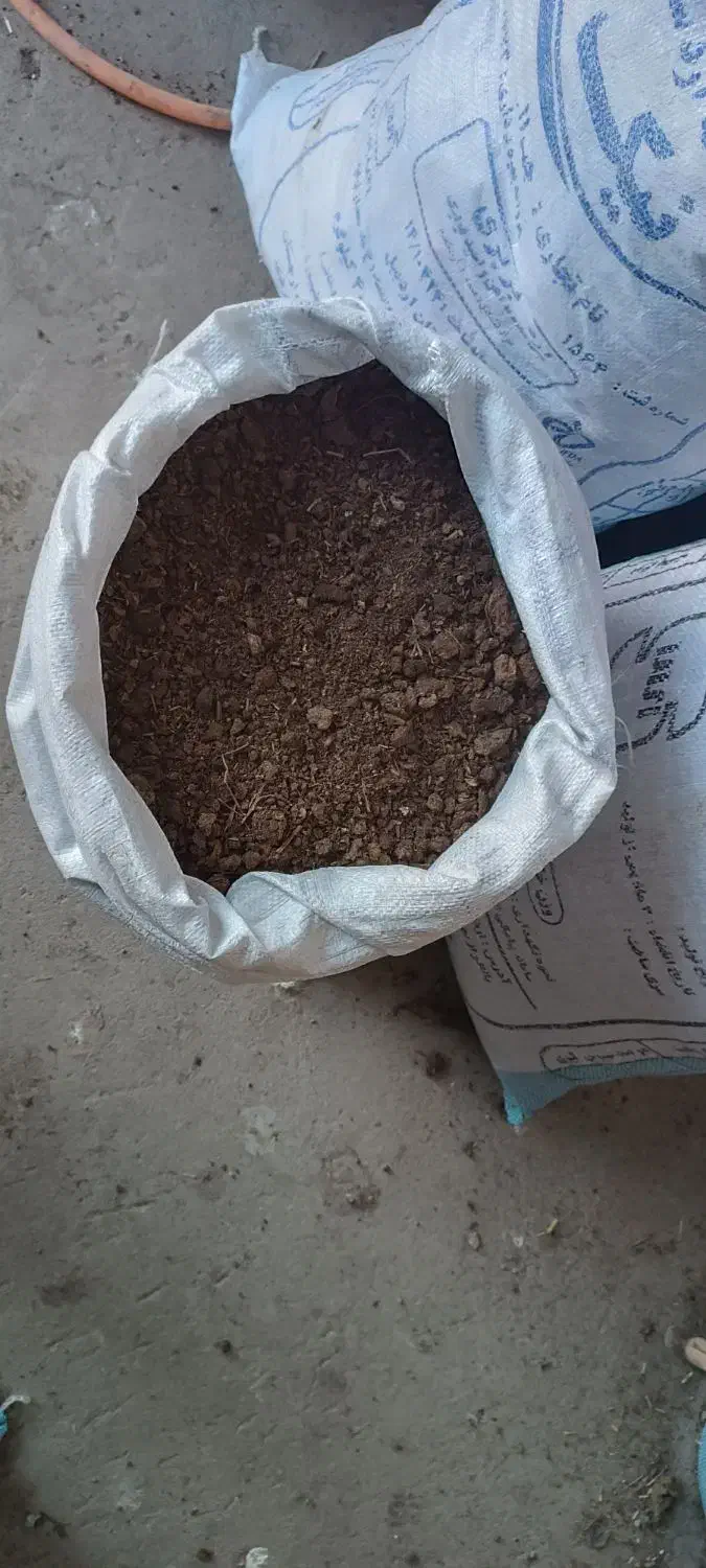 کودحیوانی گاوی|خدمات باغبانی و درختکاری|اردبیل, |دیوار