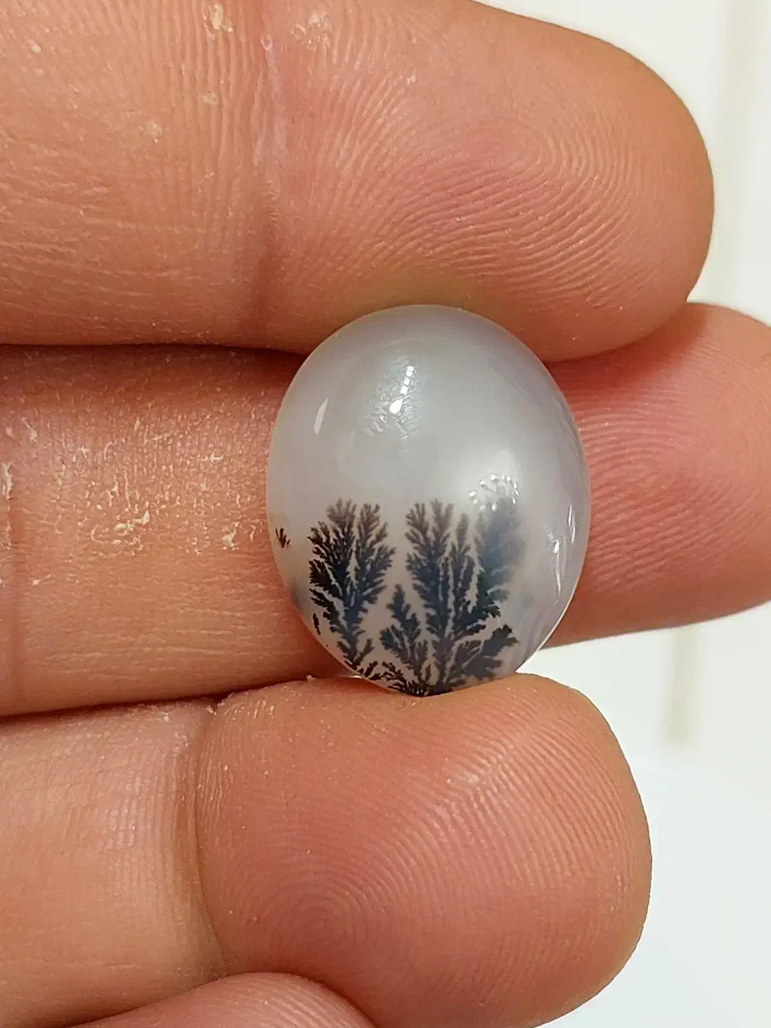 سنگ شجر|بدلیجات|کرمانشاه, |دیوار