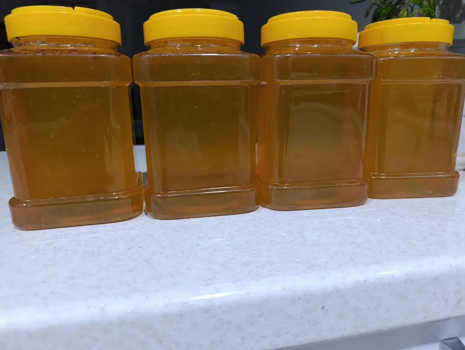 عسل|خوردنی و آشامیدنی|میبد, |دیوار