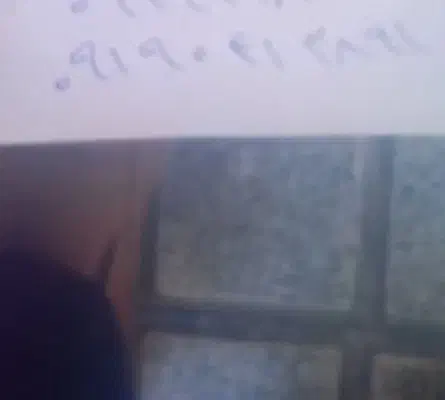 سیم کارت همراه اول ۹۱۹|سیمکارت|فردیس, شهرک ۱۱۰|دیوار