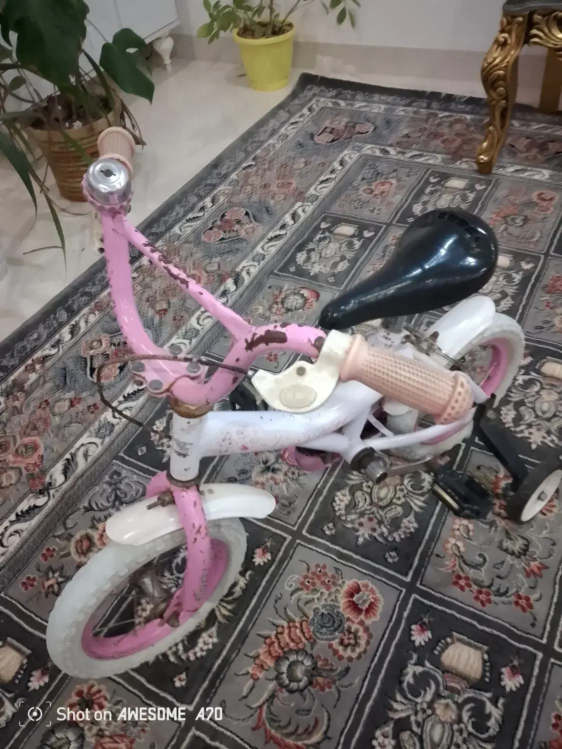 دوچرخه|دوچرخه، اسکیت، اسکوتر|تربت جام, شهید غلام زاده|دیوار